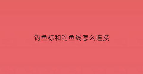 “钓鱼标和钓鱼线怎么连接(钓鱼标和钓鱼线怎么连接的)