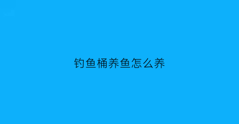 钓鱼桶养鱼怎么养(钓鱼桶的价格和图片及价格)