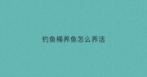 钓鱼桶养鱼怎么养活(钓鱼桶有用吗)