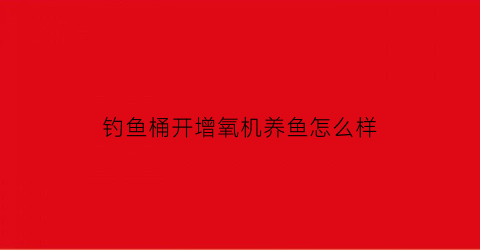 “钓鱼桶开增氧机养鱼怎么样(鱼桶增氧泵有必要买吗)