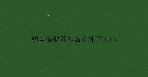 “钓鱼模拟器怎么分杯子大小(钓鱼模拟器游戏视频)