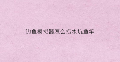 钓鱼模拟器怎么捞水坑鱼竿(钓鱼模拟器鱼饵)