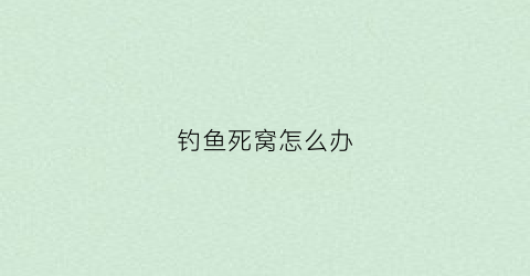 钓鱼死窝怎么办(钓鱼死窝是什么原因)