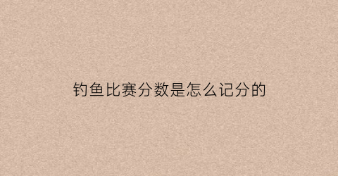 钓鱼比赛分数是怎么记分的(钓鱼比赛分数都是1分怎么分第一名)