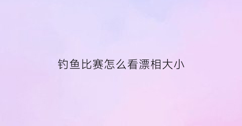 钓鱼比赛怎么看漂相大小(钓鱼如何看鱼漂视频)