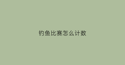 钓鱼比赛怎么计数