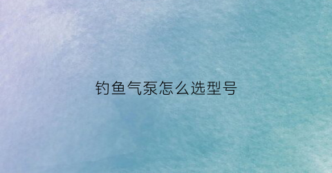 钓鱼气泵怎么选型号(钓鱼气泵怎么选型号的)