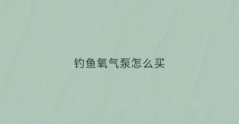 钓鱼氧气泵怎么买(钓鱼充氧泵哪个牌子好)
