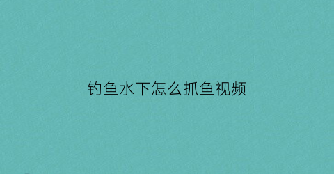 钓鱼水下怎么抓鱼视频(水下捉鱼视频)