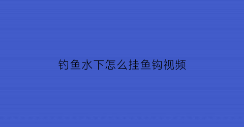 钓鱼水下怎么挂鱼钩视频