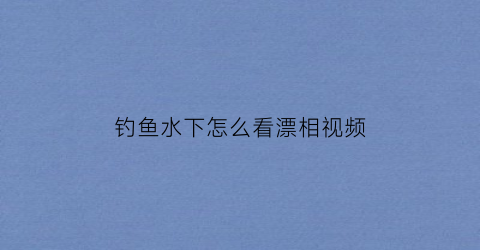 “钓鱼水下怎么看漂相视频(钓鱼水下怎么看漂相视频教程)