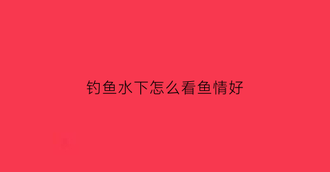 钓鱼水下怎么看鱼情好(钓鱼水下怎么看鱼情好坏)
