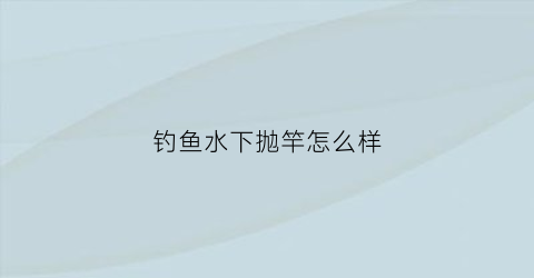 钓鱼水下抛竿怎么样