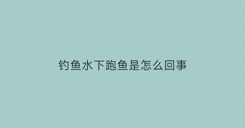 “钓鱼水下跑鱼是怎么回事(钓鱼水下跑鱼是怎么回事啊)