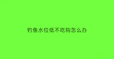 “钓鱼水位低不吃钩怎么办(钓鱼水浅了怎么不吃食)