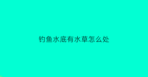 钓鱼水底有水草怎么处(钓鱼水底有水草怎么办)