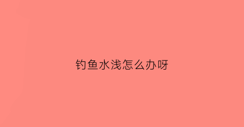 钓鱼水浅怎么办呀