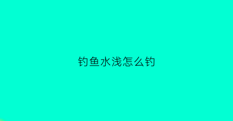 钓鱼水浅怎么钓(钓鱼水浅怎么钓鱼)