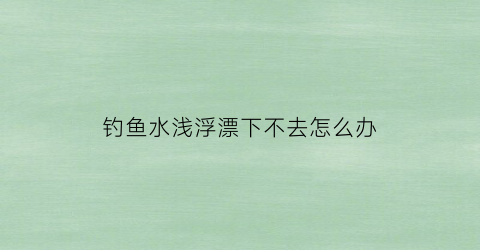 钓鱼水浅浮漂下不去怎么办(钓鱼水浅漂长怎么办)