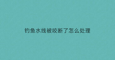 “钓鱼水线被咬断了怎么处理(钓鱼线切水性不好怎样处理)