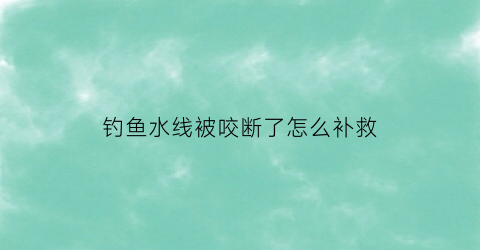 钓鱼水线被咬断了怎么补救(钓鱼水线倾斜怎么办)