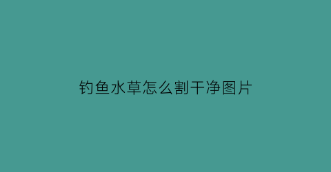 “钓鱼水草怎么割干净图片(钓鱼去水草工具)