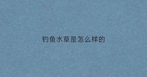 钓鱼水草是怎么样的(水草钓草鱼)