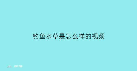 “钓鱼水草是怎么样的视频(钓鱼水草)