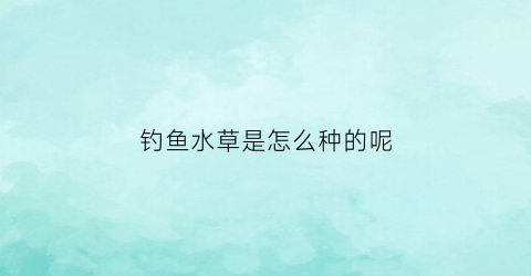 钓鱼水草是怎么种的呢(钓鱼水草是怎么种的呢图片)