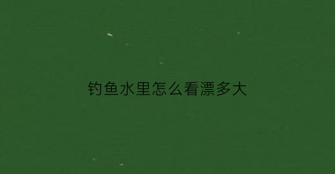 钓鱼水里怎么看漂多大(钓鱼水里怎么看漂多大鱼)