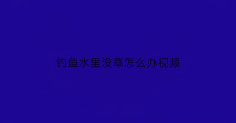 “钓鱼水里没草怎么办视频(野钓没水草钓近还是远)