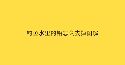 钓鱼水里的铅怎么去掉图解(水里的铅怎么去除)