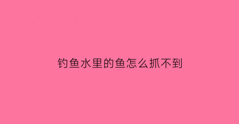 钓鱼水里的鱼怎么抓不到(为什么水里有鱼却钓不到)
