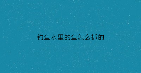 钓鱼水里的鱼怎么抓的(钓鱼水里的鱼怎么抓的好)