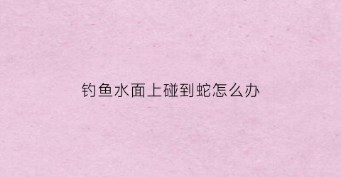 “钓鱼水面上碰到蛇怎么办(钓鱼水里碰到蛇的征兆)