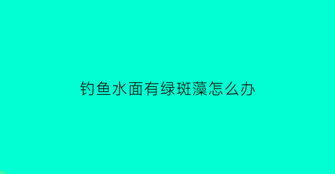 钓鱼水面有绿斑藻怎么办(钓鱼水面有绿斑藻怎么办视频)