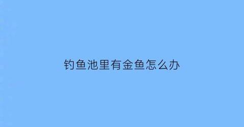 钓鱼池里有金鱼怎么办(钓鱼池里有金鱼怎么办呢)