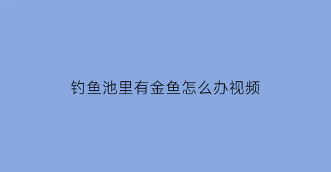 钓鱼池里有金鱼怎么办视频(鱼池里的金鱼)