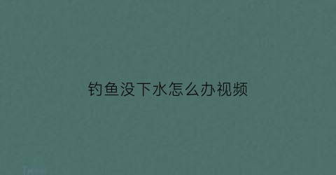 钓鱼没下水怎么办视频(钓鱼鱼不下底怎么办)