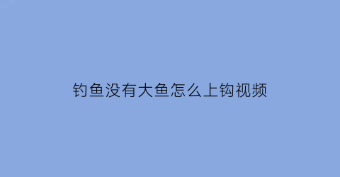 “钓鱼没有大鱼怎么上钩视频(钓鱼没有大鱼怎么上钩视频教程)