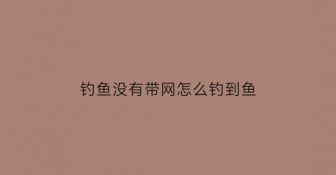 钓鱼没有带网怎么钓到鱼