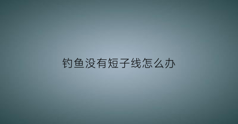钓鱼没有短子线怎么办(钓鱼不用子线直接绑鱼钩可以吗)