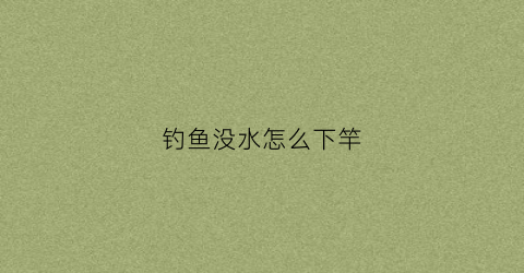 钓鱼没水怎么下竿(钓鱼没水怎么下竿最好)