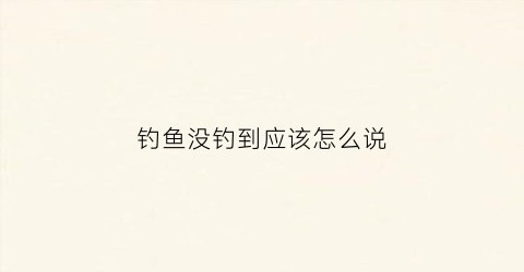 钓鱼没钓到应该怎么说