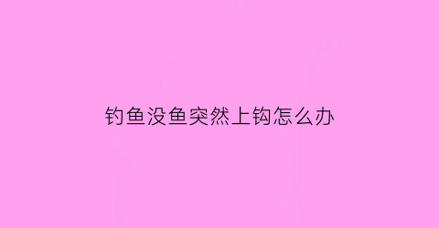 钓鱼没鱼突然上钩怎么办(钓鱼没有鱼)
