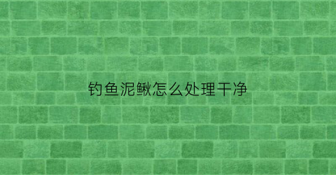 钓鱼泥鳅怎么处理干净