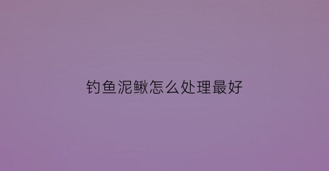 钓鱼泥鳅怎么处理最好(钓鱼的泥鳅怎样让它存活久一点)