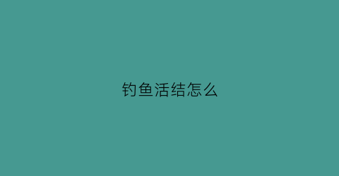 钓鱼活结怎么(钓鱼活结怎么打)