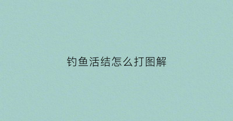 钓鱼活结怎么打图解(钓鱼活结打法视频)