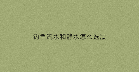 钓鱼流水和静水怎么选漂(钓鱼流水和静水怎么选漂的)